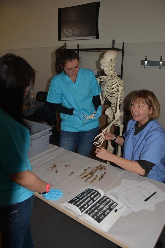 Professor Melissa Connor instructing CMU students. 